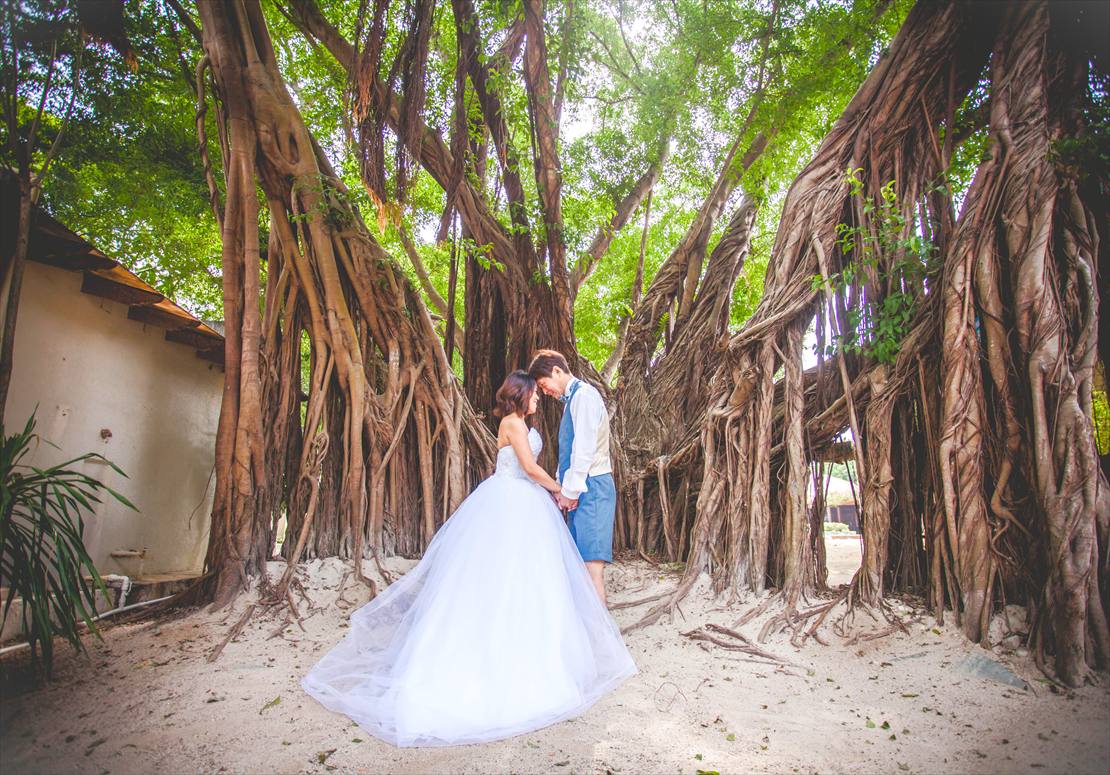 ブルーウォーター・マリバゴ・セブ島結婚式　ガジュマルにてウェディングフォト