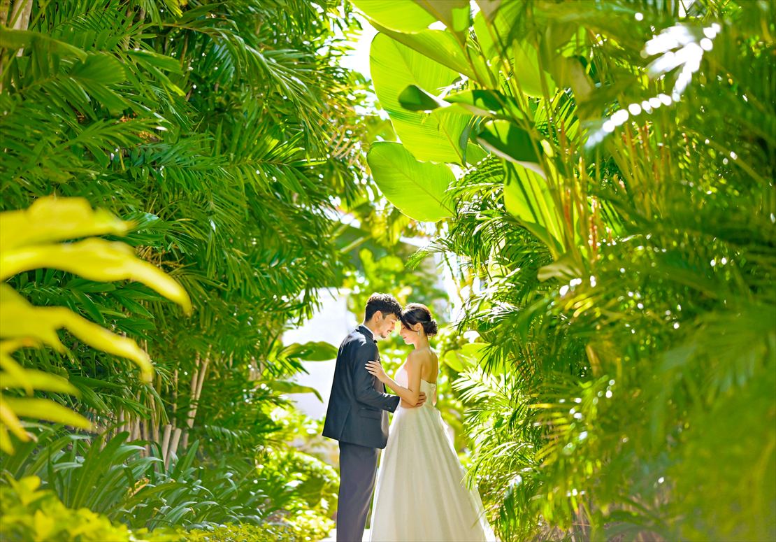 コスタベラ・トロピカル・ビーチ・ホテル・セブ島フォトウェディング　生い茂る熱帯植物