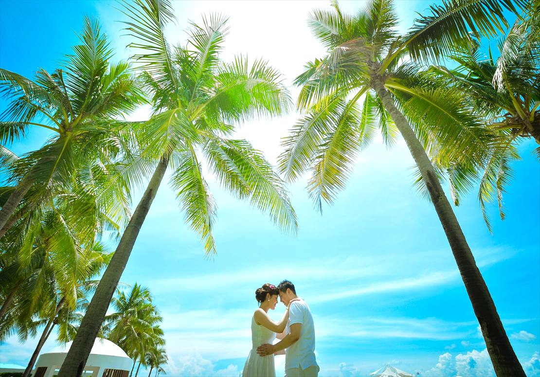 モーベンピック・マクタン・アイランド・セブ島挙式　ビーチウェディング　青い空にココナッツが映える