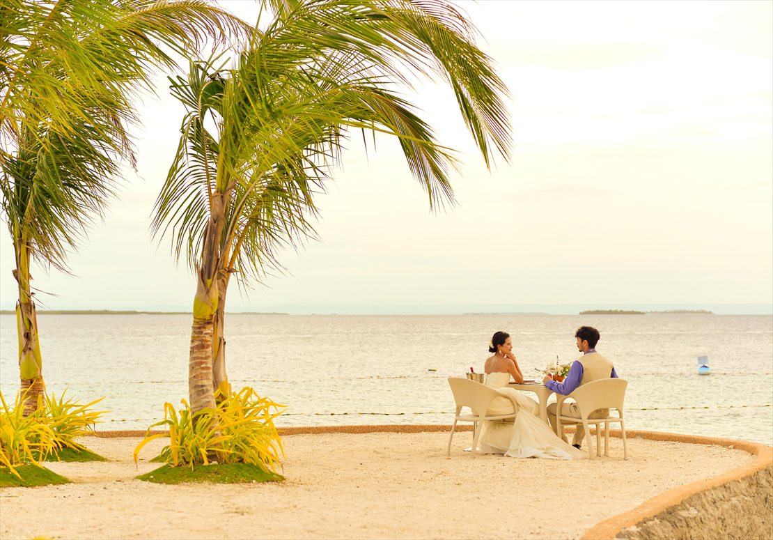 Palm Tree Natural Wedding & Romantic Dinner at Tipsy Island